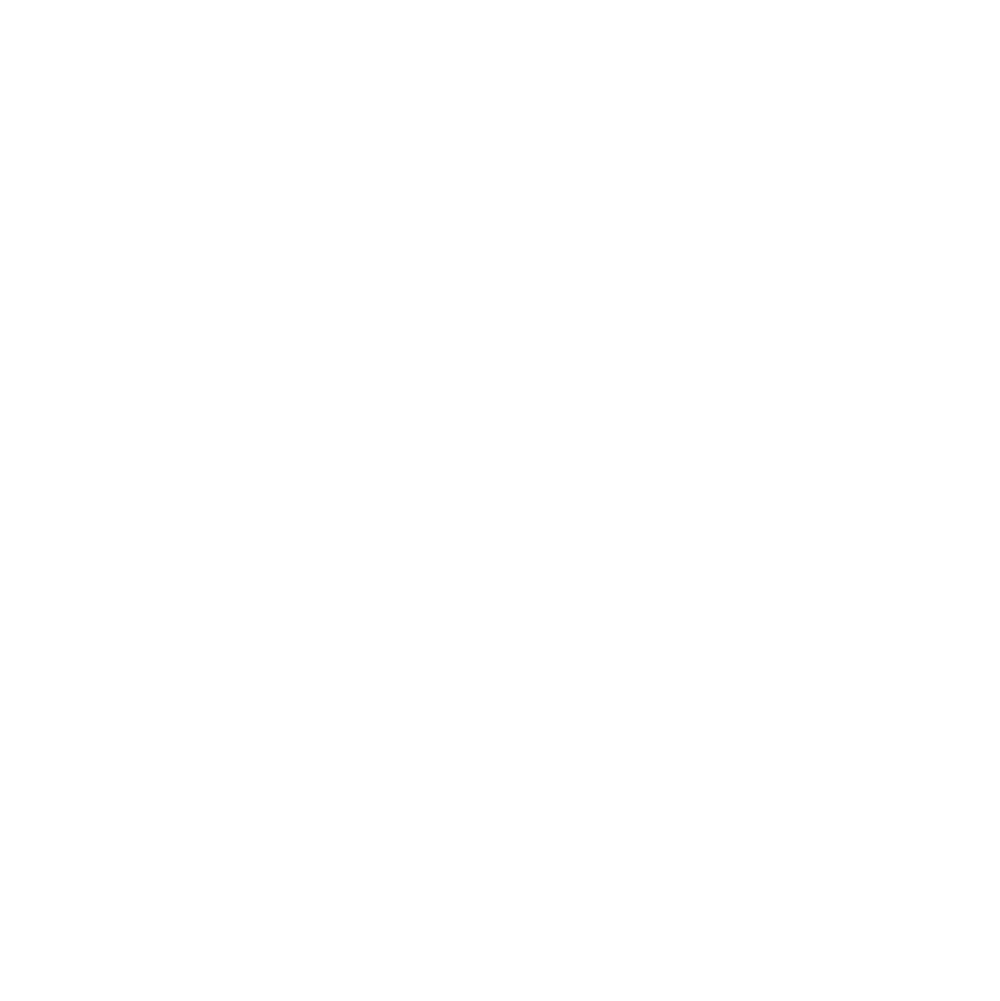 award ribbon icon